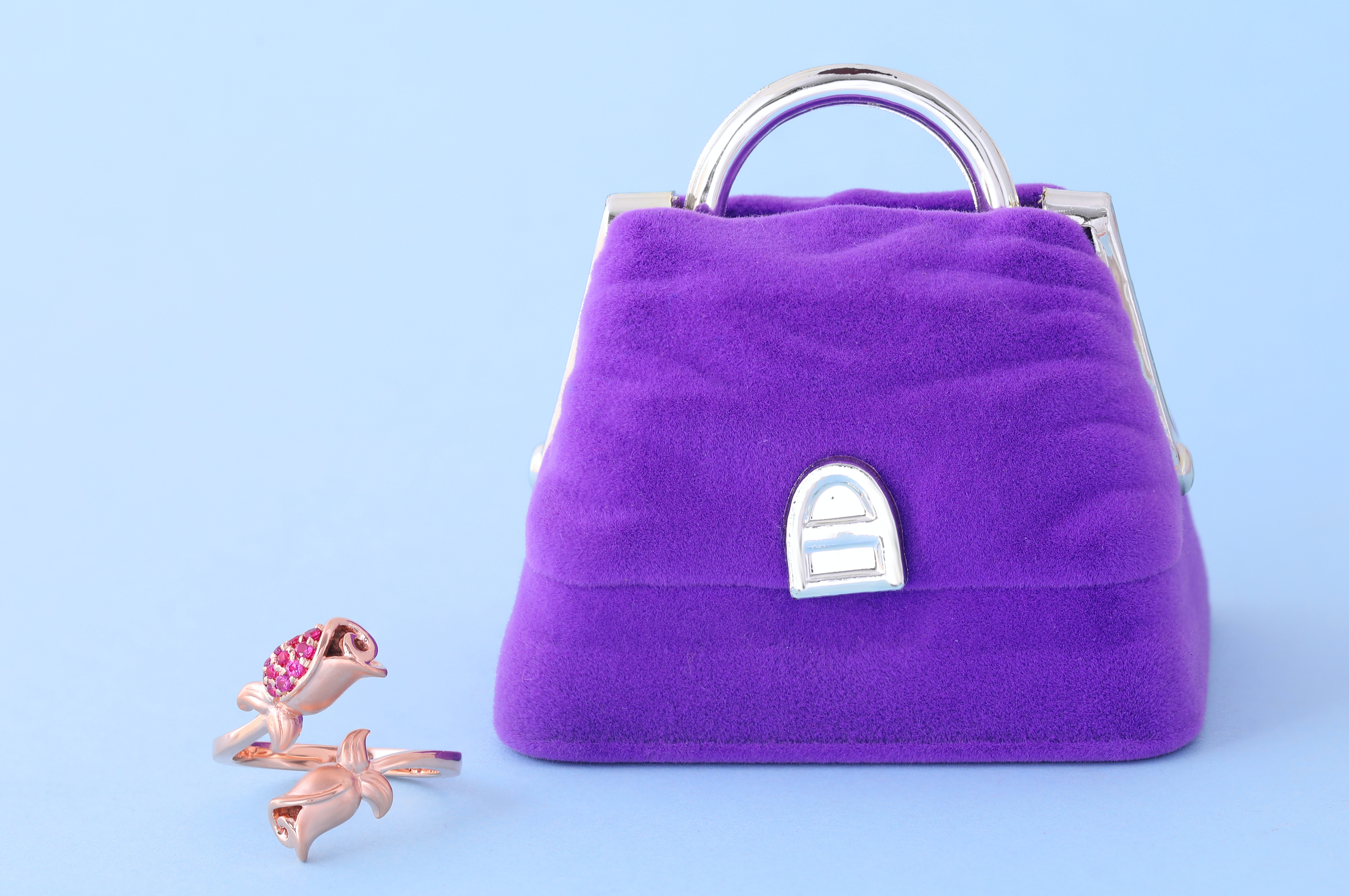 purse